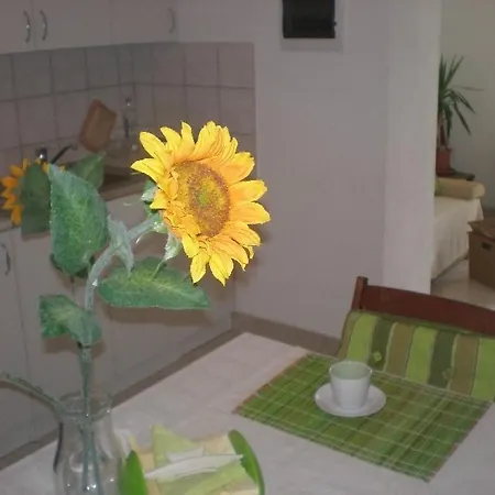 Seaside Family Friendly House With A Swimming Pool Puntinak, Brac - 767 Prázdninový dům